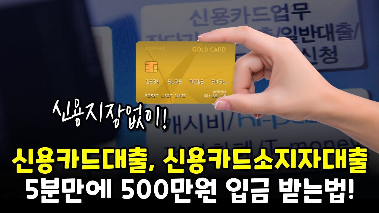 신용카드사용자 대출